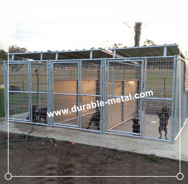 metal dog kennel outdoor