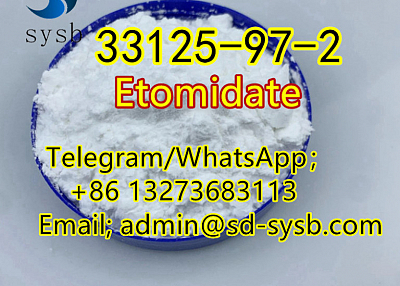  13 A  33125-97-2 Etomidate