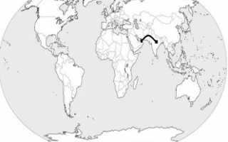 UAE – India (Sylodium, export to India from UAE)