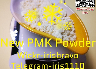 Safe Delivery BMK Glycidate Pmk White Powder Pmk Glycidate Europe Warehouse