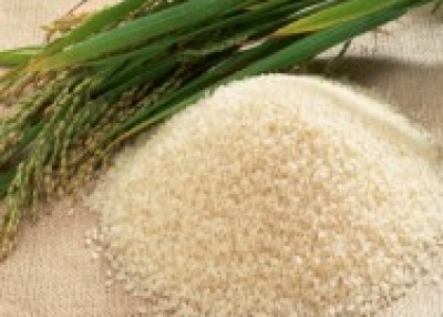 Supply white long grain rice