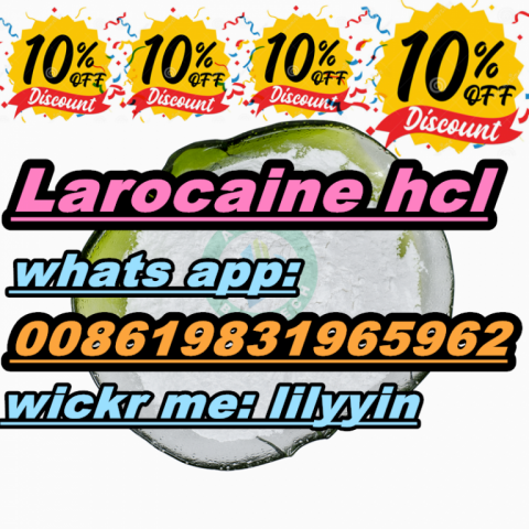 Netherland Dimethocaine hcl cas 553-63-9