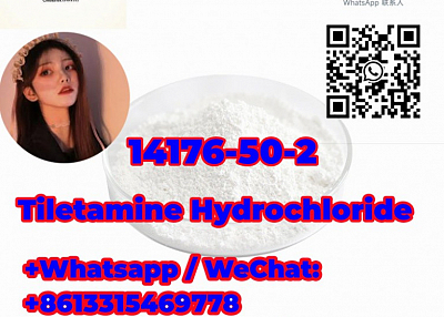 sell like hot cakes  good purity  Tiletamine Hydrochloride 14176-50-2