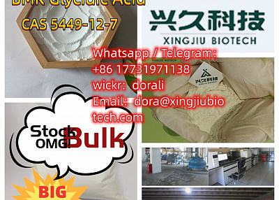 Bmk powder 5449-12-7 BMK Glycidic Acid 99% 