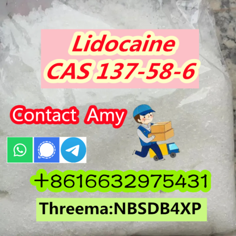 Lidocaine Supplier CAS 137-58-6