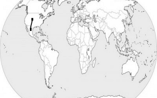 US – Mexico (Sylodium, export to Mexico from USA)