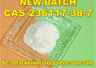 CAS23076-35-9 High Quality Methyl Indole-3-Carboxylate 23076-35-9 Xylzaline HCl at Factory Spot