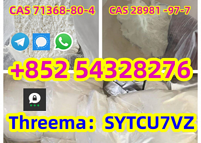 Factory sales CAS 71368-80-4 Bromazolam CAS 28981 -97-7 Alprazolam WhatsApp:+852 54328276