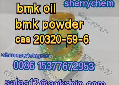 Cas 20320-59-6 New BMK cas 5449-12-7 99% powder 5449-12-7 