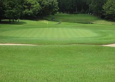 Gopher Control Wire Mesh Protects Lawn and Individual Plant