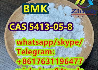 Hot BMK CAS 5413-05-8 Ethyl 3-oxo-4-phenylbutanoate Best price