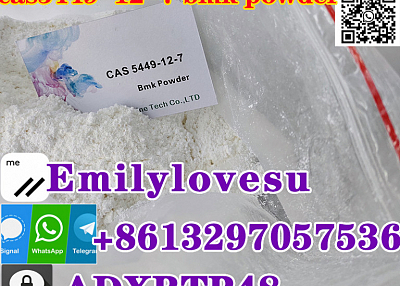 white bmk powder cas 5449-12-7 Holland stock ship,85%High oil yield