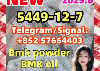 BMK New 5449-12-7 Glycidic Acid Bmk powder 2050-07-9 20320-59-6 