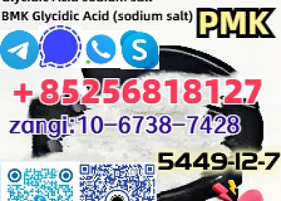 BMK Glycidic Acid (sodium salt) CAS 5449-12-7 hot in NetherlandsUKPolandEurope
