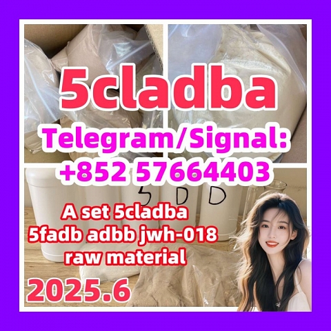 High quality 5CLADBA, 5CL-ADB-A , 5cl, 4FADB, 5cladba main ingredients With best Vendor price!