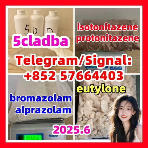 109555-87-5 