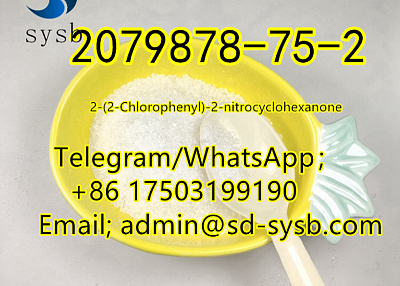 94 A  2079878-75-2 2-(2-Chlorophenyl)-2-nitrocyclohexanone