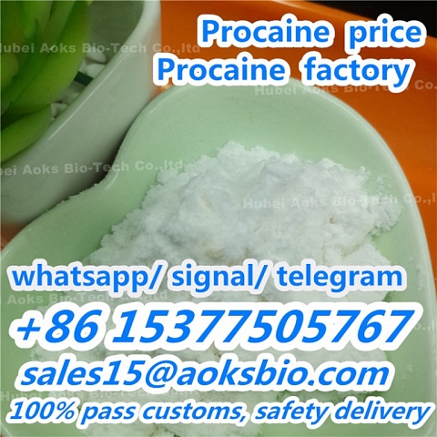 Cas:51-05-8 factory procaine hydrochloride procaine hcl powder favorable price safe delivery