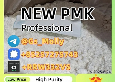 New PMK Glycidate 99.9% Purity | CAS 28578-16-7 | Pharmaceutical Intermediate