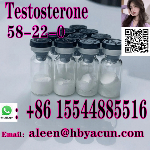 Testosterone cas 58-22-0 high purity low price whatsapp:+86 15833732902