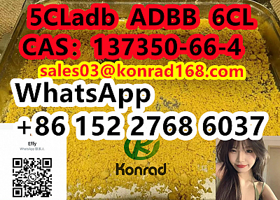  5CLadbCAS：137350-66-4 