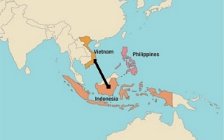 Vietnam and Indonesia (Sylodium, export to Vietnam from Indonesia)