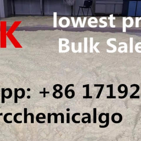 Bulk Sale PMK Powder super Quality with bottom Price PMK