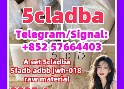 High quality 5CLADBA, 5CL-ADB-A , 5cl, 4FADB, 5cladba main ingredients With best Vendor price!