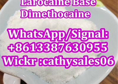 Larocaine HCl CAS 94-15-5 Local Anesthetic Powder Procaine Pain Killer Drugs Pharmaceutical Raw Mate