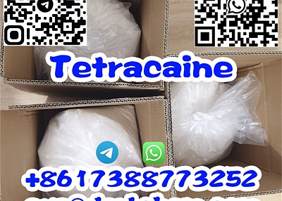 Taoteng Supply Tetracaine HCl Powder CAS 136-47-0 Tetracaine Hydrochloride Tetracaina HCl