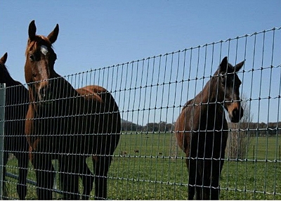  Field Fence