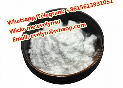 Cas 593-51-1 Methylamine hydrochloride Whatspp:+8615613931051