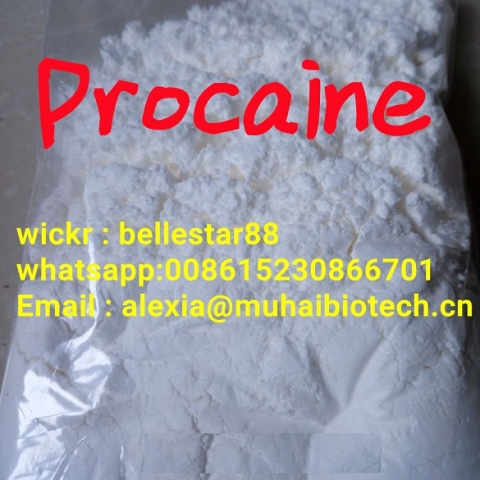 Procaine /Procaine Hydrochloride Wickrme:bellestar88