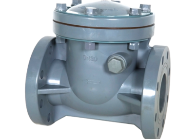 CPVC Swing Type Check Valve