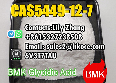 New BMK Glycidic Acid (sodium salt) CAS 5449-12-7 used in Pharmaceutical Industry