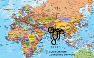 南亚区域合作联盟（通过Sylodium, 国际贸易）