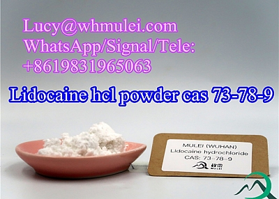 Lidocaine hcl powder cas 73-78-9 for pain relief 100% pass customs to Canada USA Europe