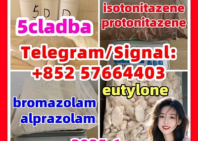 109555-87-5 