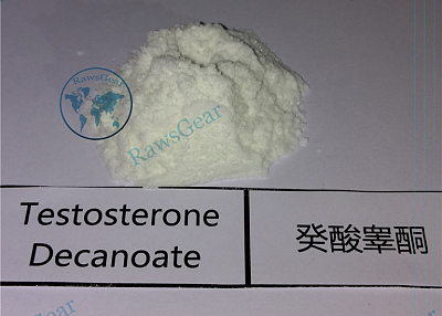 Testosterone Decanoate