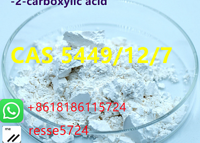 sodium,2-methyl-3-phenyloxirane-2-carboxylic acid CAS 5449/12/7 High Puirty Best Price