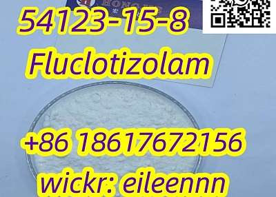 Fluclotizolam 54123-15-8