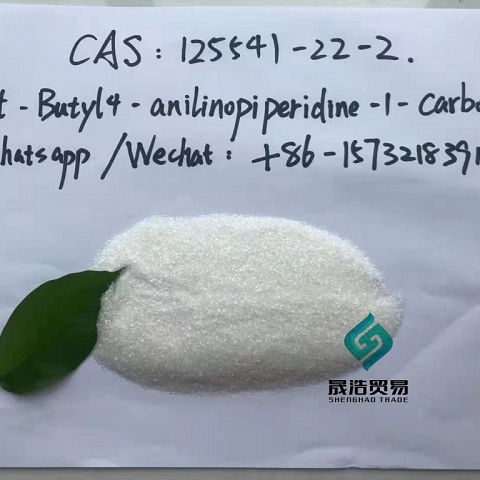 The Best Price of 1-Boc-4- (Phenylamino) Piperidine CAS No 125541-22-2 99% White powder 125541-22-2 