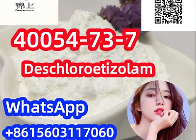 top quality  Deschloroetizolam CAS40054-73-7 