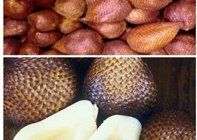 Snake Fruit