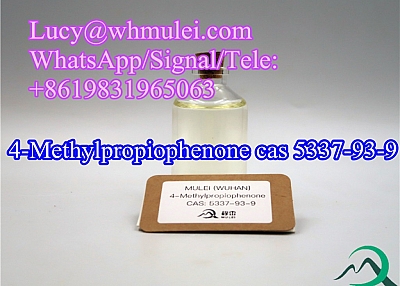 Manufacturer High Quality 4-Methylpropiophenone CAS 5337-93-9 Free of Custom Clearance