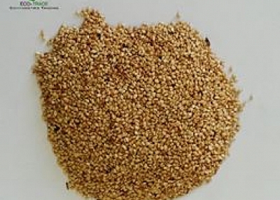  white sesame seed 