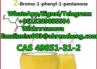 Chemical Pharmaceutical Intermediate Product 2-Bromo-1-Phenyl-Pentan-1-One CAS 49851-31-2