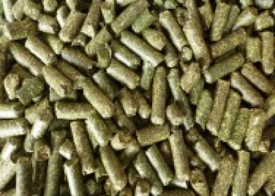Alfalfa Hay Pellet