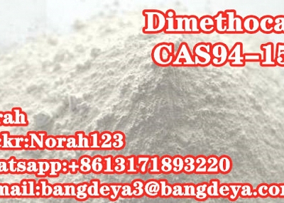 Dimethocaine CAS94-15-5