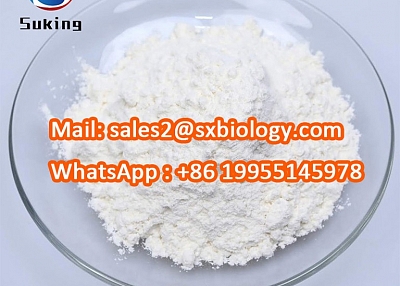 High Purity New BMK Glycidate CAS 5413-05-8 BMK Powder CAS 16648-44-5 Pmk Glycidate 13605-48-6 with 